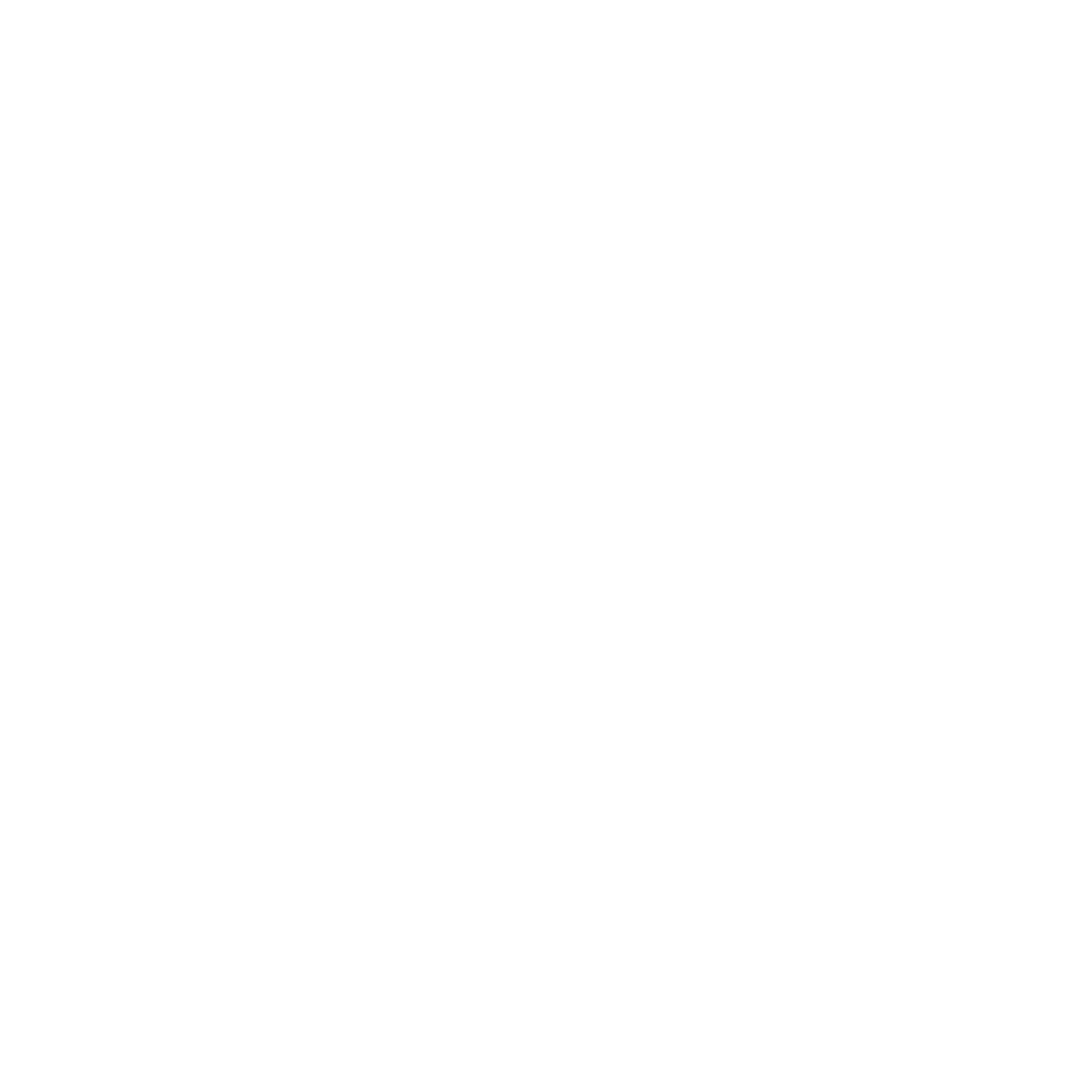 salonのlogoです